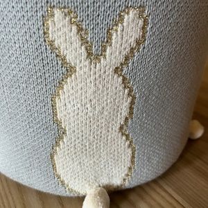 NWT darling blue and gold Easter basket